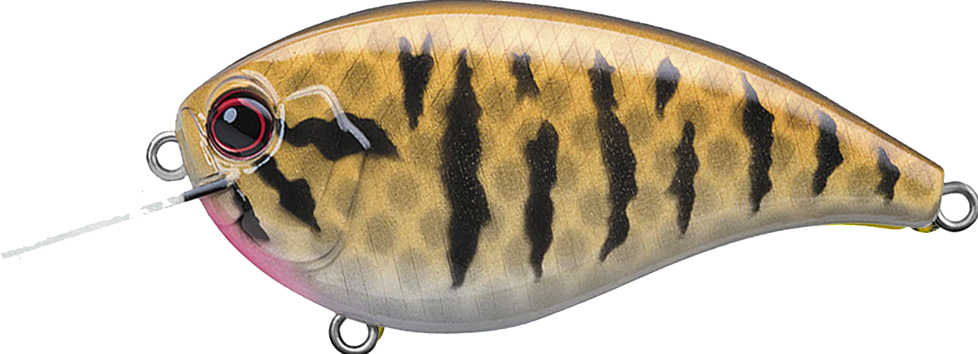 Buy smallmouth-bass EVERGREEN FF-4 CRANKBAITS