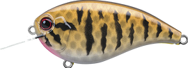 Buy smallmouth-bass EVERGREEN FF-4 CRANKBAITS