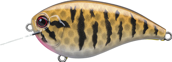 EVERGREEN FF-4 CRANKBAITS