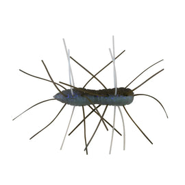 Buy the-deal Z-MAN FUZZY BUGZ