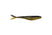 Golden Shiner