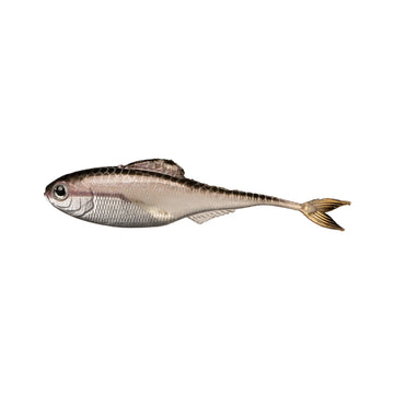6TH SENSE FICTION SHAD - 0