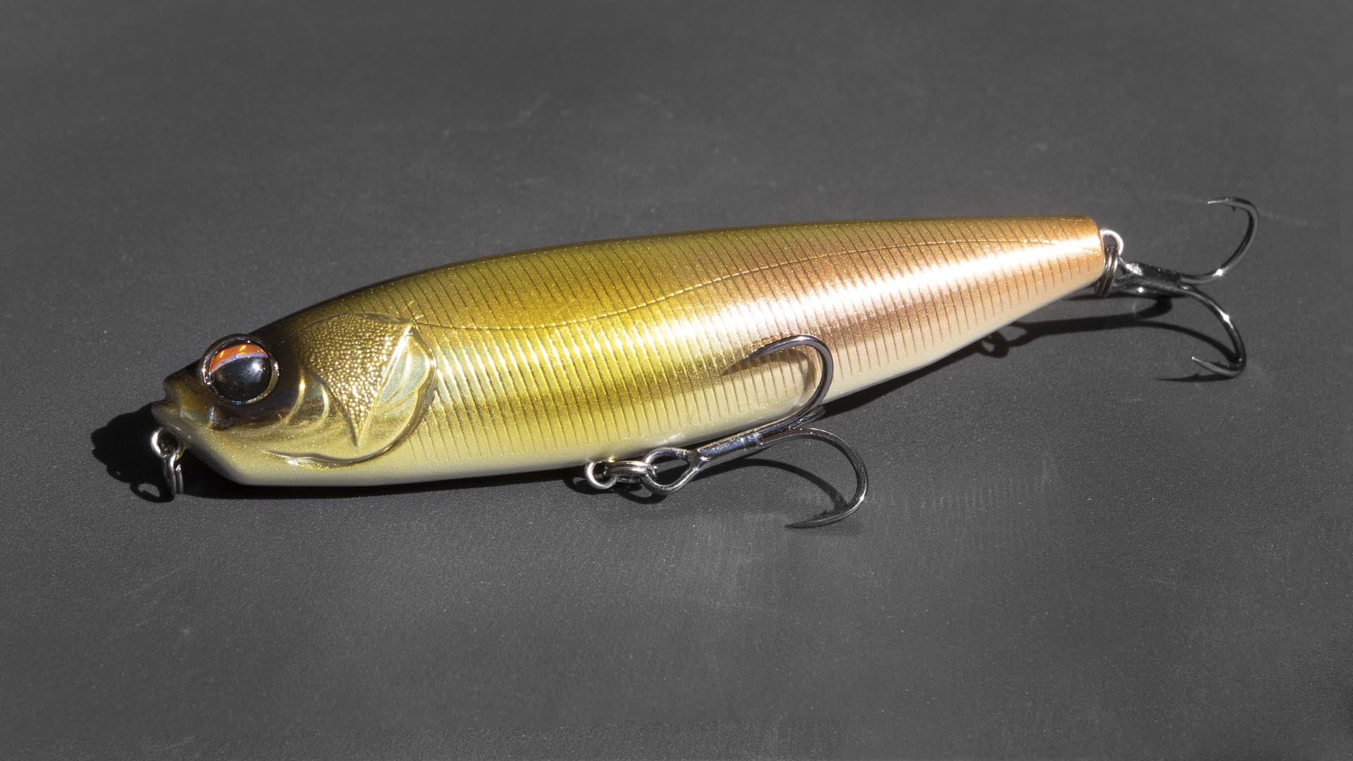 DIGITAL SQUAD GLIDE DOG 100 Golden VB