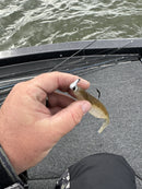 FIRE BAITS MAG STROLL HEAD-4