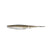 Gizzard Shad