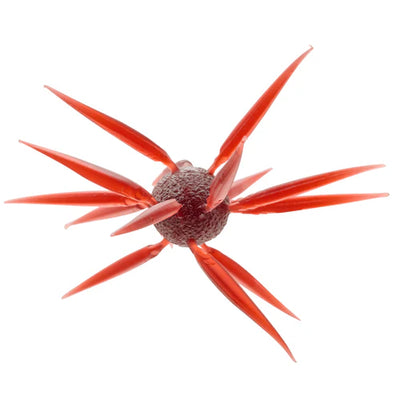 Buy 108-scuppernong HIDEUP COIKE FISH