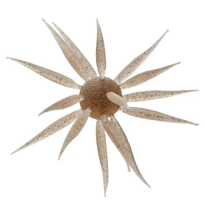 Buy 242-ebi-dappi HIDEUP COIKE FISH