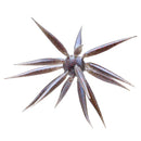 HIDEUP COIKE FISH-11