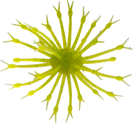 Buy highlighter G-RATT BAITS POP-A-WEB