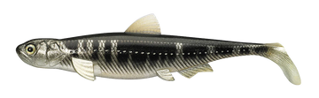 Buy keta-bass EVERGREEN LAST ACE 140