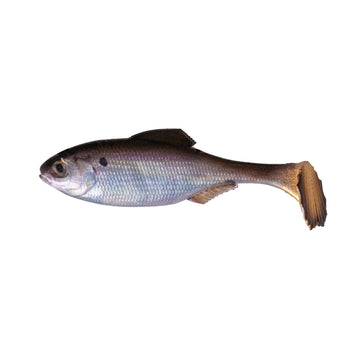 Buy live-baby-crappie 6TH SENSE PANORAMA SWIMBAIT - UNRIGGED
