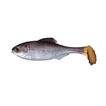 Buy live-shad 6TH SENSE PANORAMA SWIMBAIT - UNRIGGED