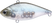Ghost Minnow