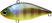 BE Gill