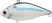 Live Threadfin Shad