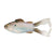 Live Gizzard Shad