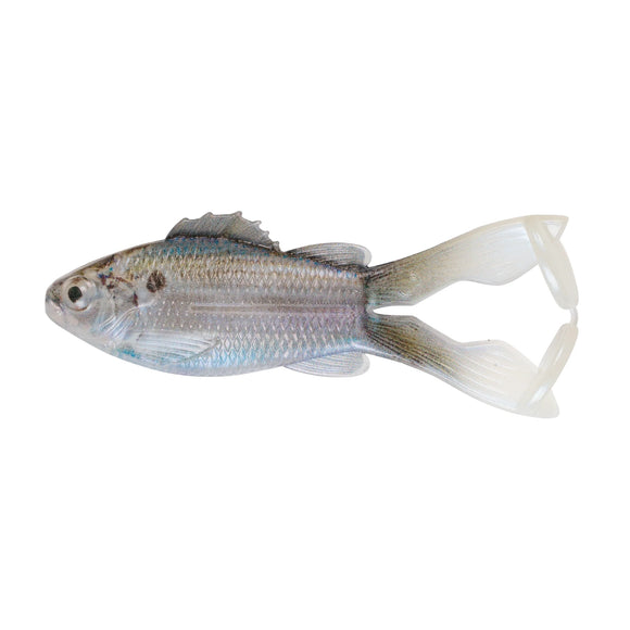 6TH SENSE BUZZGILL 4.0