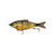 Live Bluegill