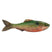 Live Sunfish
