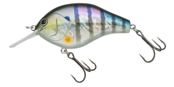 NORIES MARUNOMI FLAT 60