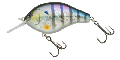 NORIES MARUNOMI FLAT 60