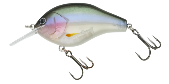 NORIES MARUNOMI FLAT 60