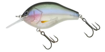 NORIES MARUNOMI FLAT 60