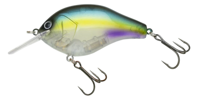 NORIES MARUNOMI FLAT 60