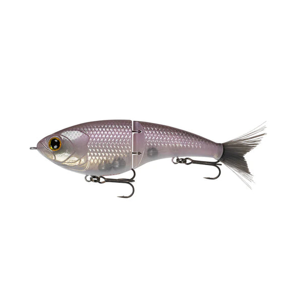 6TH SENSE JUDO FRESHWATER