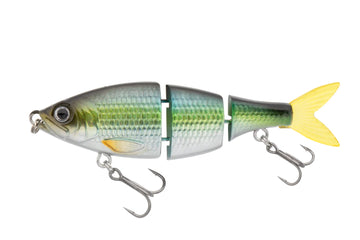 Buy alewife EUROTACKLE NAGE 2.75"