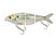 Threadfin Shad "Match the Hatch"