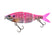Pink Gill