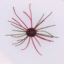 GEECRACK IMO KEMUSHI CUE BOMB-7