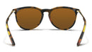 BLENDERS NORTH PARK X2 BRANDY NIGHT SUNGLASSES-5