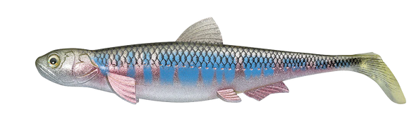 EVERGREEN LAST ACE 140