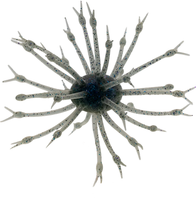 Buy space-dust G-RATT BAITS POP-A-WEB