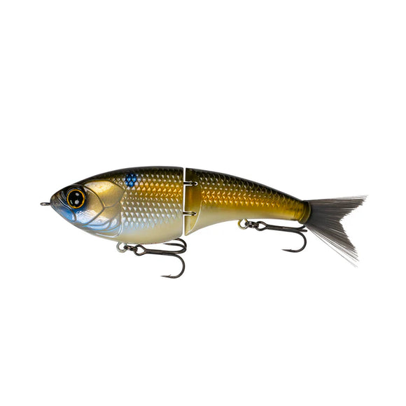 6TH SENSE JUDO FRESHWATER