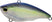 Matte Ghost Sexy Shad