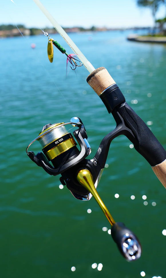 DAIWA RS 500 26'