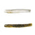 Mud Minnow