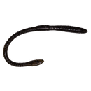 UPTONS CUSTOMS STRAIGHT TAIL WORM-4