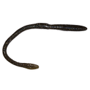 UPTONS CUSTOMS STRAIGHT TAIL WORM-5