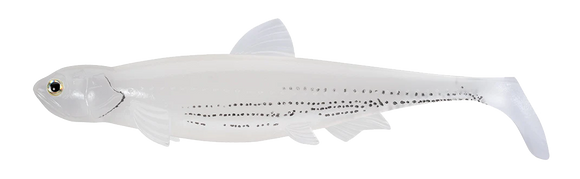 EVERGREEN LAST ACE 140