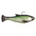 Chartreuse Shad