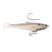White Back Shad