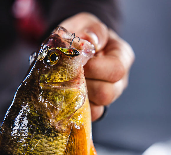 EUROTACKLE I-SHIMMER MICRO TAIL SPIN