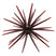 Scup Dark