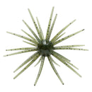 SKINNY BEAR SHAKE'EM UP-3