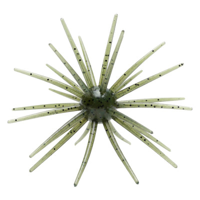 Buy watermelon SKINNY BEAR SHAKE'EM UP