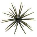 SKINNY BEAR SHAKE'EM UP-1